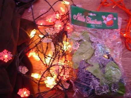 Electric Christmas lighting chain “Rice Lights”