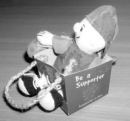 «Supporter in a box»