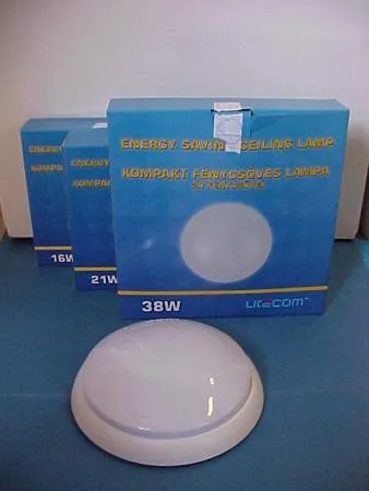 Ceiling lamp with 2D fluorescent lamp (fixed luminaire)