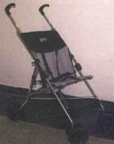 Pushchair