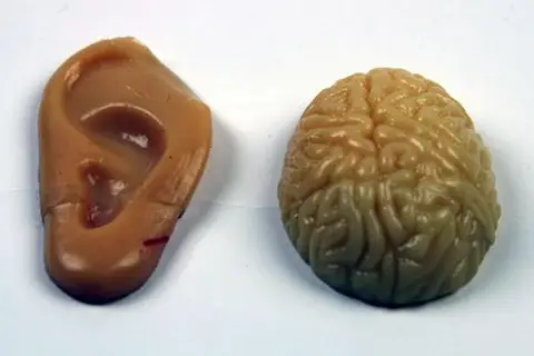 Липкие ухо и мозг