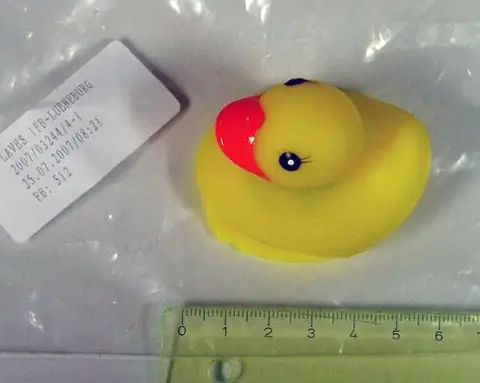 Plastic duck - "Flashing Duck"