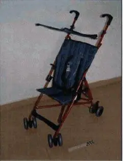 Push chair