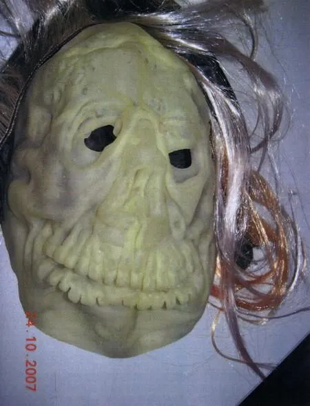 Fancy dress mask