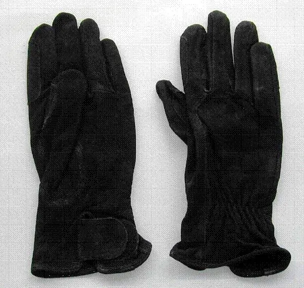 Riding gloves - Reithandschuhe