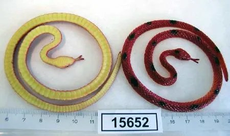 Plastic/rubber snake 
