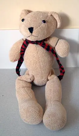 Teddy bear 