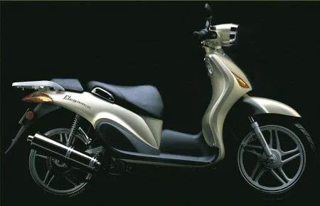 Motor scooter “Nipponia ELEGANCE 125” 