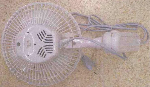 Electric fan