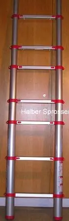 Telescoping ladder