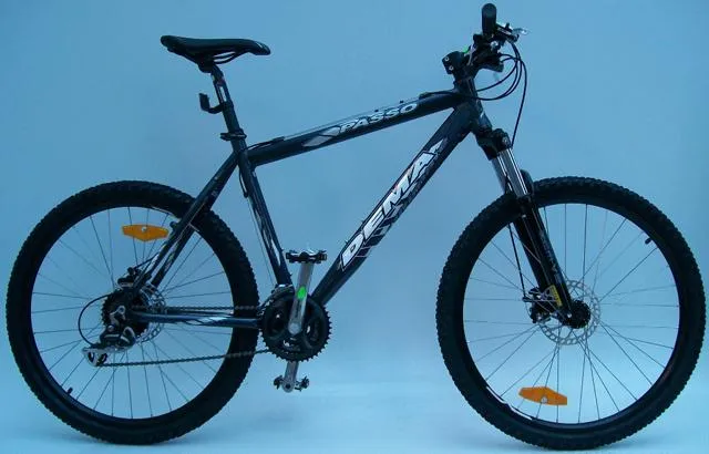 Mountain bike - Passo Dema