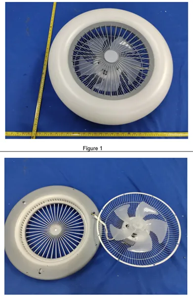 Ceiling fan and LED light unit