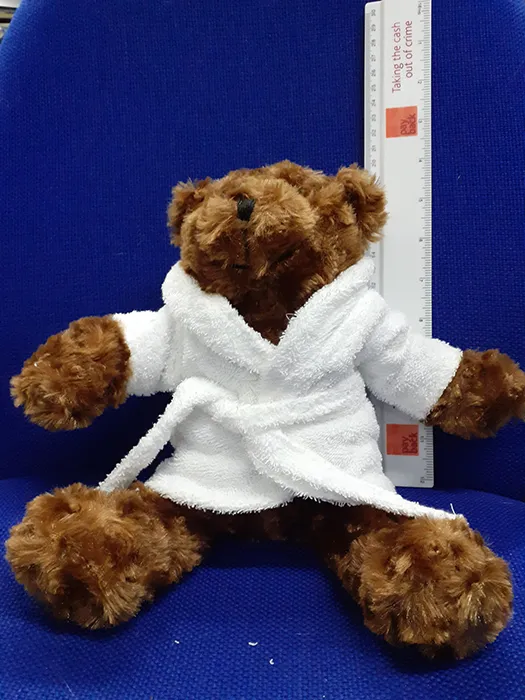 Teddy Bear
