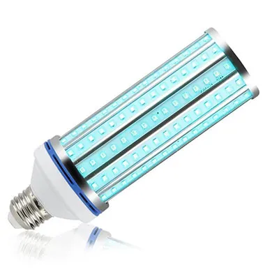 Light Bulb