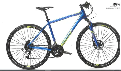 Hybrid bicycle