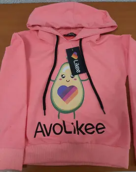 Children`s sweatshirt