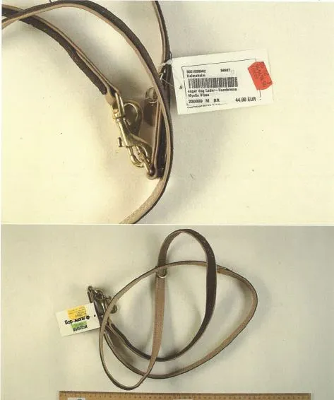 Dog lead