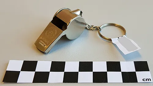 Whistle toy