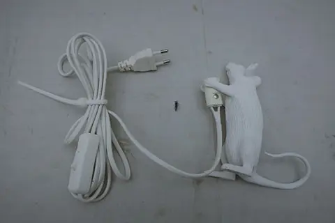 Electric luminaire