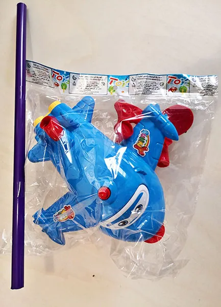 Push/pull-along toy