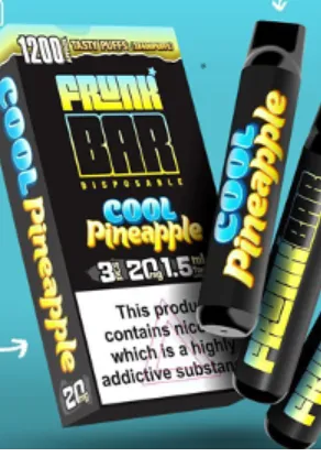 Disposable electronic cigarette