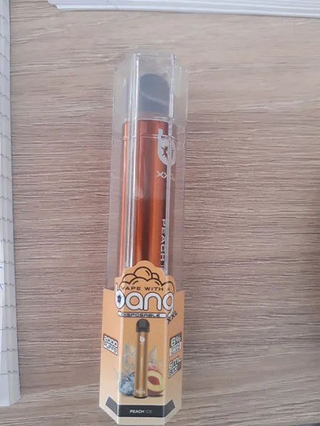 Disposable electronic cigarette