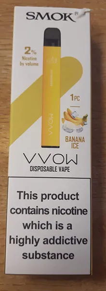 Disposable electronic cigarette