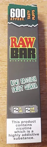Disposable electronic cigarette