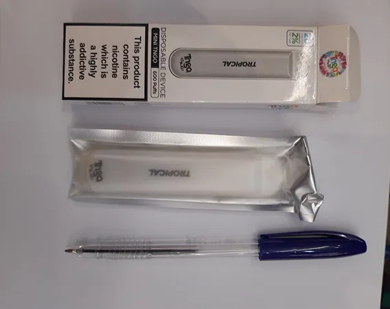 Disposable electronic cigarette