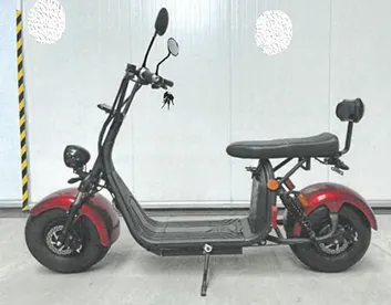 Electric scooter