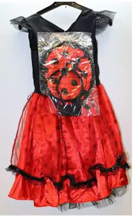 Children's fancy dress