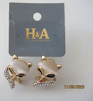 Earrings
