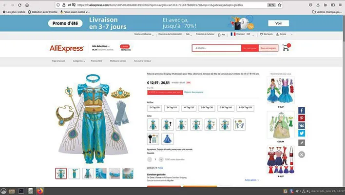 Fancy dress costume