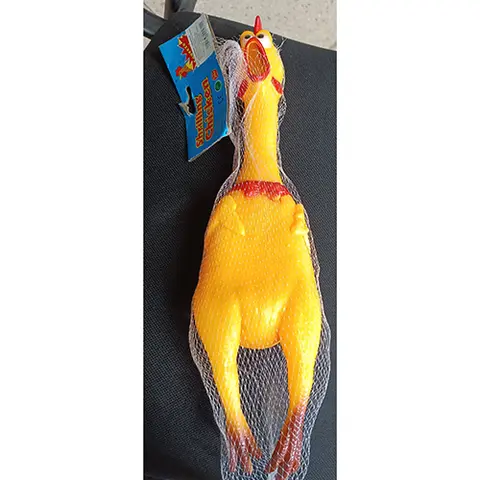 Squeaky toy