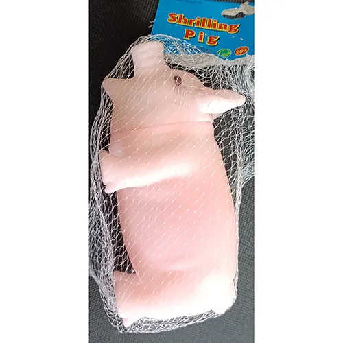 Squeaky toy