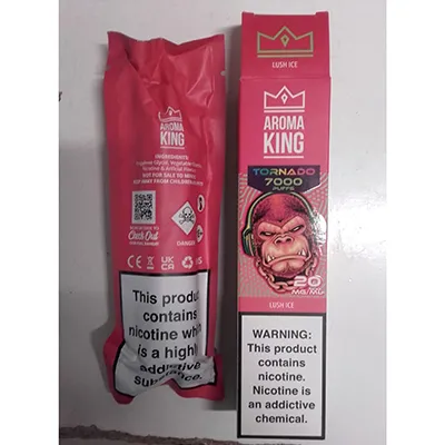 Disposable electronic cigarette