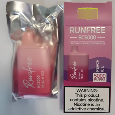 Disposable electronic cigarette