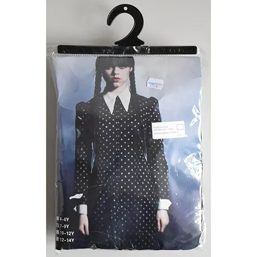 Fancy-dress costume