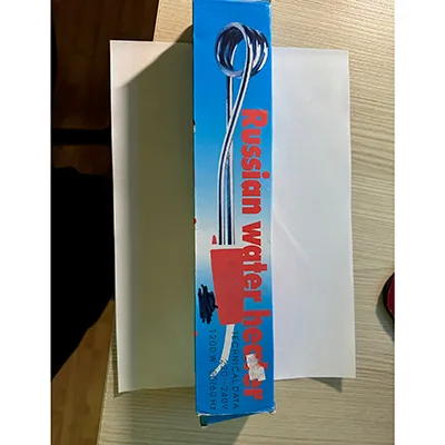 Immersion electric water heater