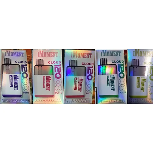 Disposable electronic cigarette