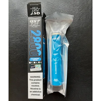 Disposable electronic cigarette