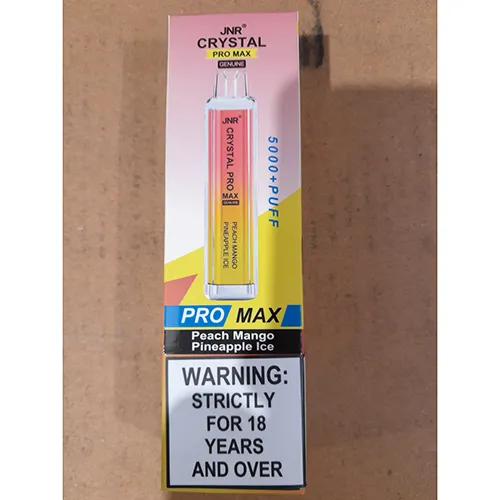 Disposable electronic cigarette