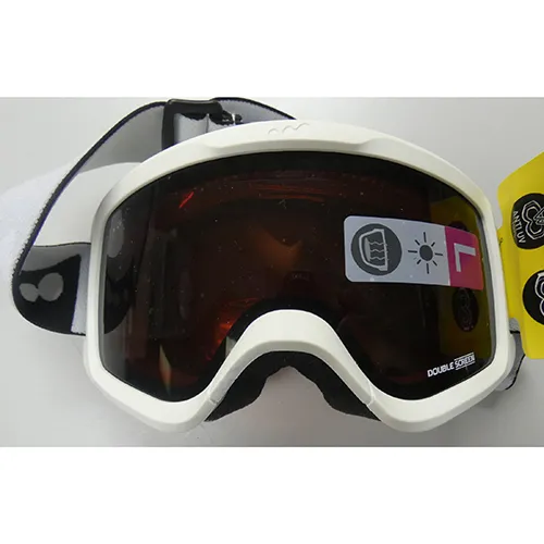 Ski goggles