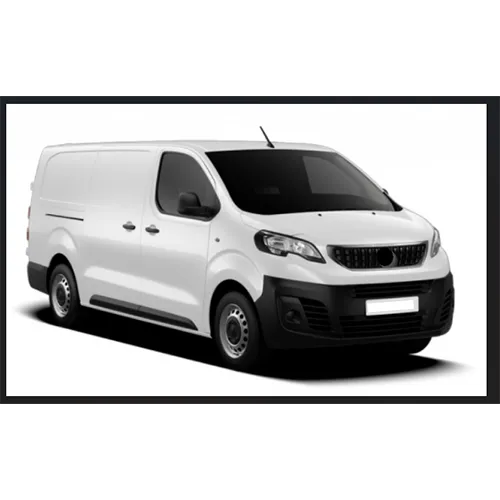 Passenger van / Light commercial vehicle