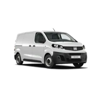 Passenger van / Light commercial vehicle