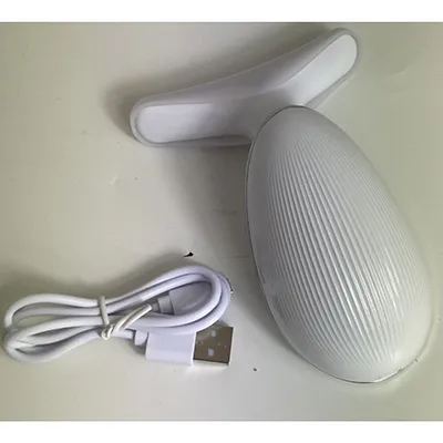 Electrical massage instrument