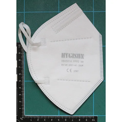 Particle filter mask