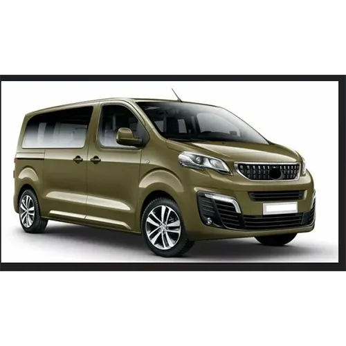 Passenger van / Light commercial vehicle