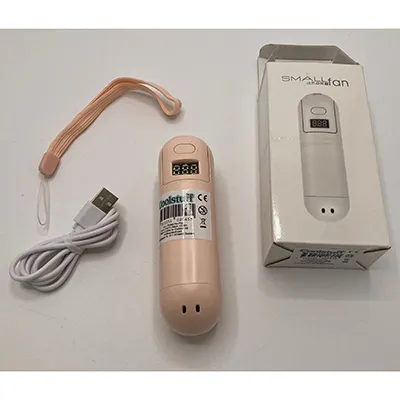 Portable fan