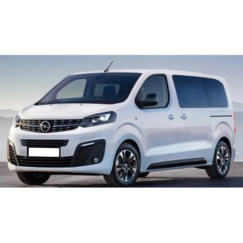 Passenger van / Light commercial vehicle